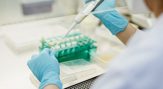 Photo: Testing in a medical lab